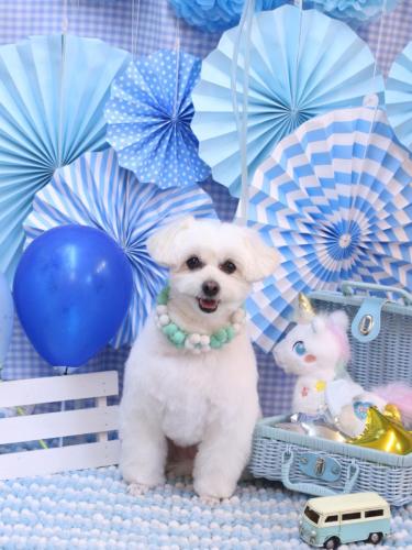 20231125うみちゃん